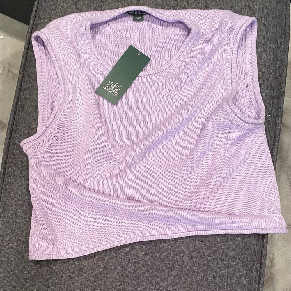 Wild Fable Cropped Sweater